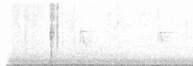 Haarspecht [villosus-Gruppe] - ML611470910