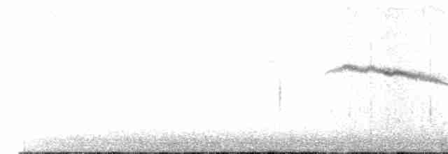 אוריה שחורה - ML611473618