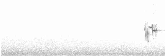 Патагонский овсяночник - ML611475807