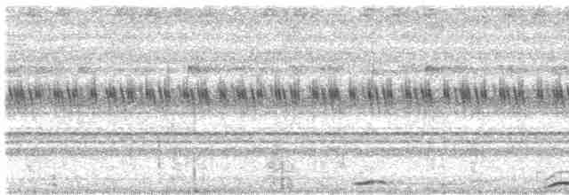 Сова-голконіг далекосхідна - ML611478171