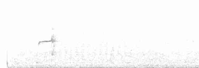 Тиранчик-тонкодзьоб північний - ML611480524