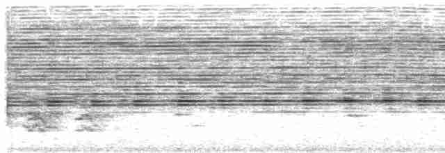 Серый тиранн-плакса - ML611483922