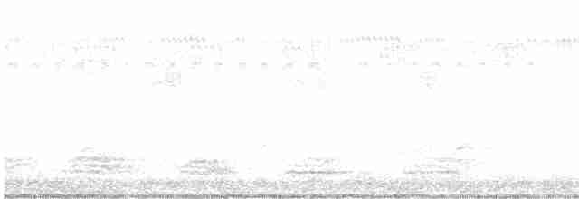 Spotless Crake - ML611483992