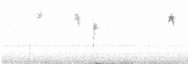 Bruant à couronne blanche (leucophrys) - ML611484985