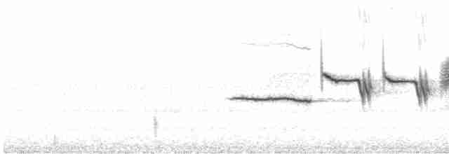 hvitkronespurv (leucophrys) - ML611485001