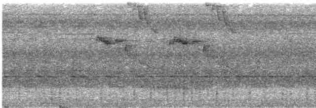 Большеклювый колибри-отшельник - ML611485614