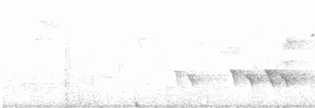 Янчик рододендровий [група aeralatus] - ML611486089