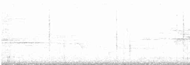 Chevêchette de la Sonde - ML611486234