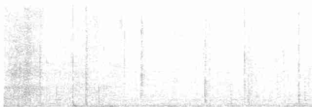 Бронзовохвостый павлиний фазан - ML611486263