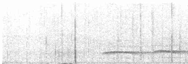 Бронзовохвостый павлиний фазан - ML611486326