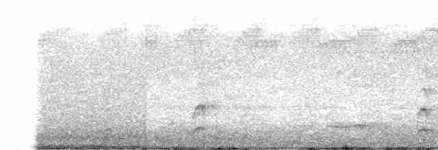 Spotless Crake - ML611486588