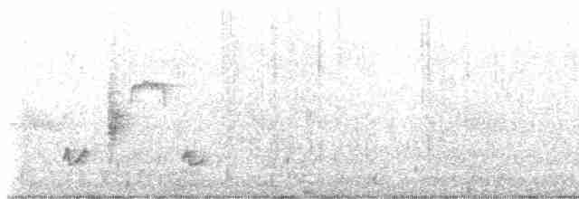 Australian Reed Warbler - ML611490055