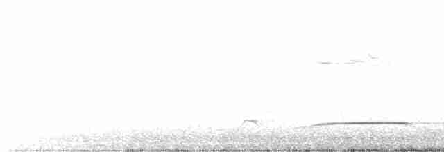 Fan-tailed Cuckoo - ML611491461