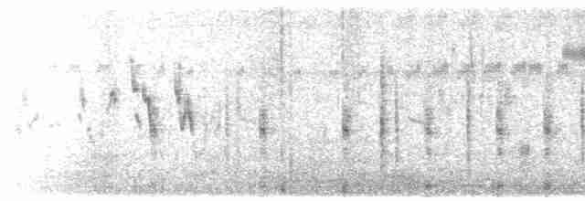 灰胸秧雞 - ML611493704