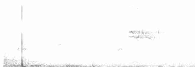 Свистач плямистобокий - ML611494507
