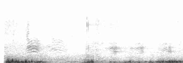 Ibis à face blanche - ML611495142
