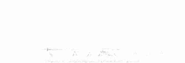 Rufous Nightjar - ML611495928