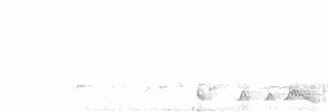 Rufous Nightjar - ML611495930