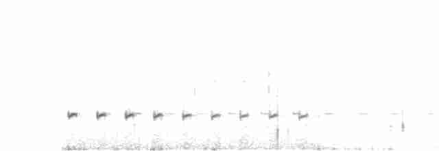 Olivscheitel-Bandvogel - ML611499749