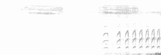 Graubrust-Dickichtschlüpfer - ML611502787