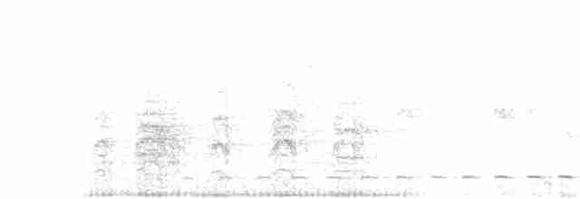Streifenbrust-Ameisendrossel - ML611503125