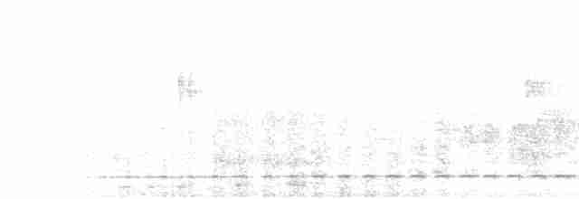 Streifenbrust-Ameisendrossel - ML611503139