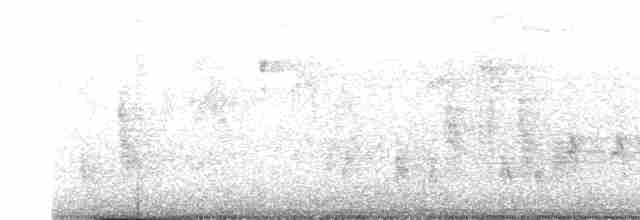 Çizgili Sırtlı Çıtkuşu - ML611507071