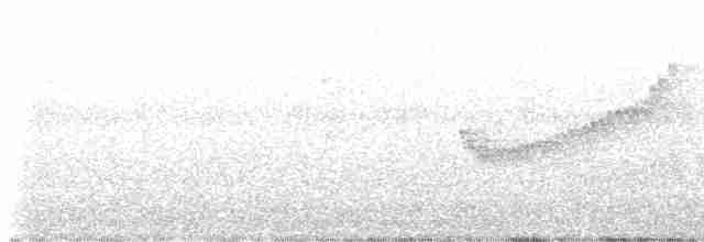 Rufous-breasted Wren - ML611510878
