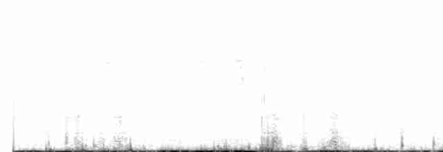 Черноголовый толстонос - ML611511741