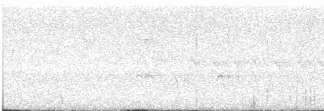 Свистач плямистобокий - ML611512803