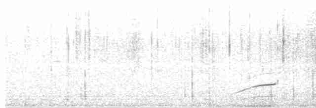 Чернокрылая монашка - ML611515477