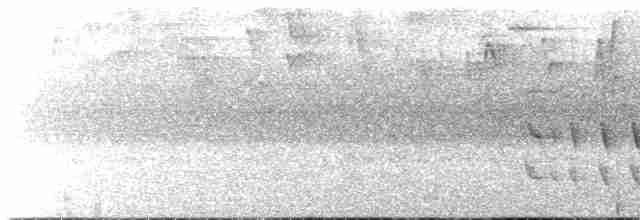 Mérulaxe argenté - ML611520818