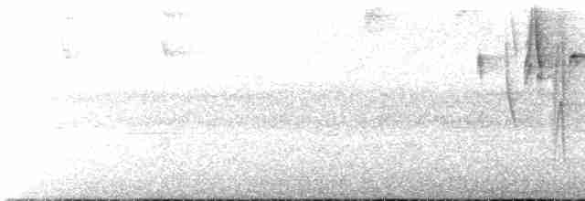 Sarımsı Çıtkuşu - ML611520826