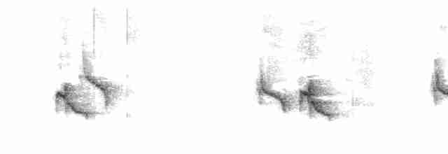 Ak Kaşlı Prinya - ML611523807