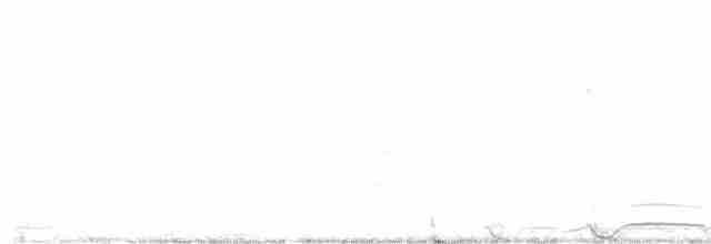 Лофур сіамський - ML611524330