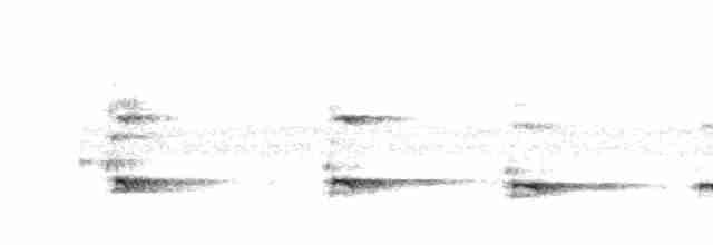 Пестрогрудый хохлатый орёл - ML611525169