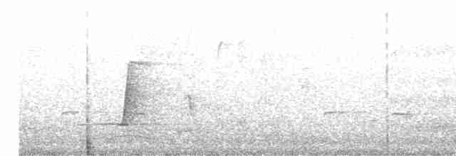Широкорот східний - ML611526639
