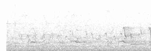 Noisy Friarbird - ML611526710