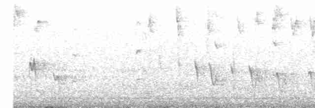 Weißkehlgerygone - ML611526724