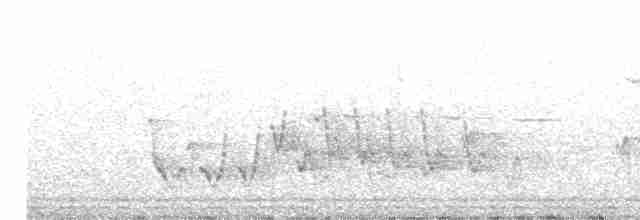 Rufous Whistler - ML611526732