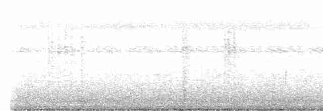 Горная широкохвостка - ML611527250