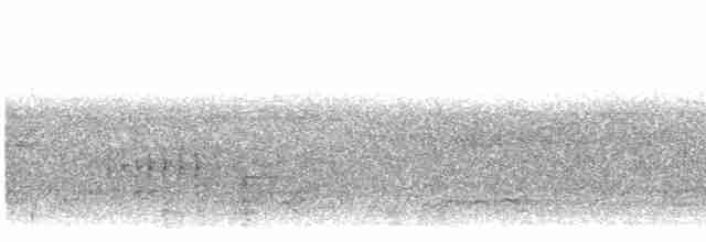 Золотистая синехвостка - ML611527727