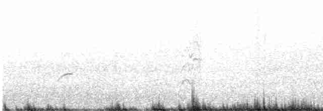 břehouš černoocasý - ML611529998