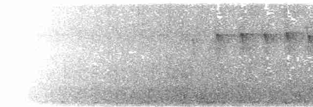 Крапчатогорлый алапи - ML611531603