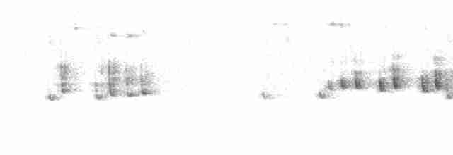 Fulveta Cejiblanca - ML611532680