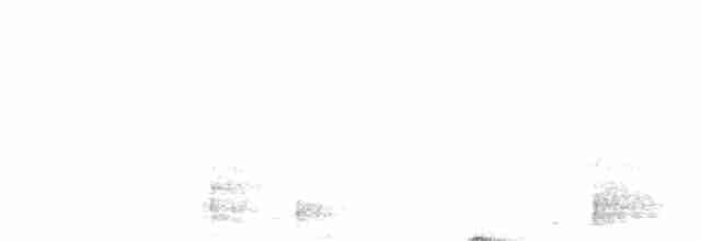 Great Eared-Nightjar - ML611532940