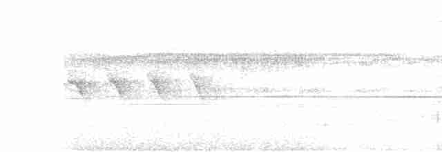 Undulated Tinamou - ML611535916