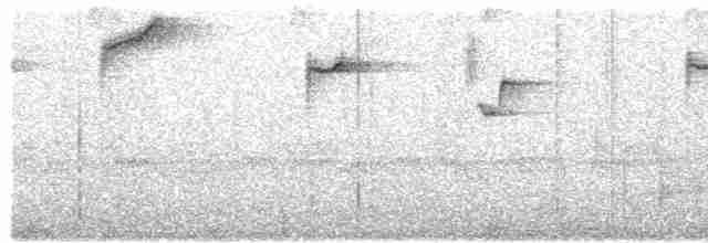 Ошейниковый кинжалоклюв - ML611544134