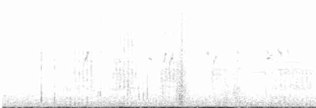 Braunbrust-Weißstirnchen - ML611549821