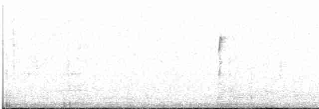 Шиподзьоб рудогузий - ML611550487